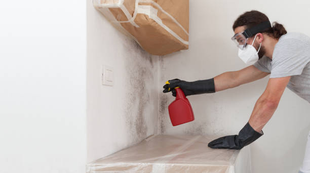 Professional Black Mold Remediation technician working in Russell, GA