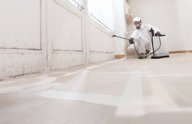 24/7 Emergency Black Mold Remediation experts in Russell, GA