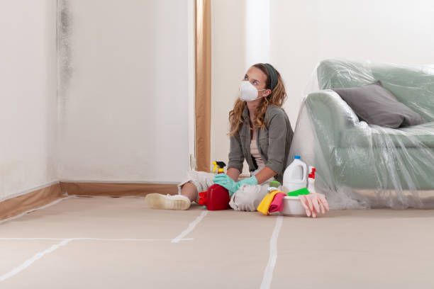 Reliable Black Mold Remediation contractor in Russell, GA by 24 Hour Mold Removal