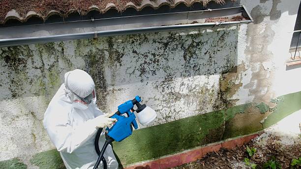 Top rated local Black Mold Remediation specialists in Russell, GA